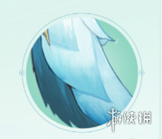 网4