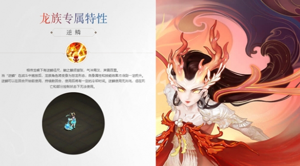 网2
