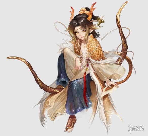 网5