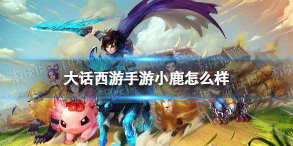 网1