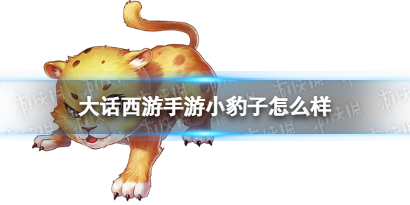 网1